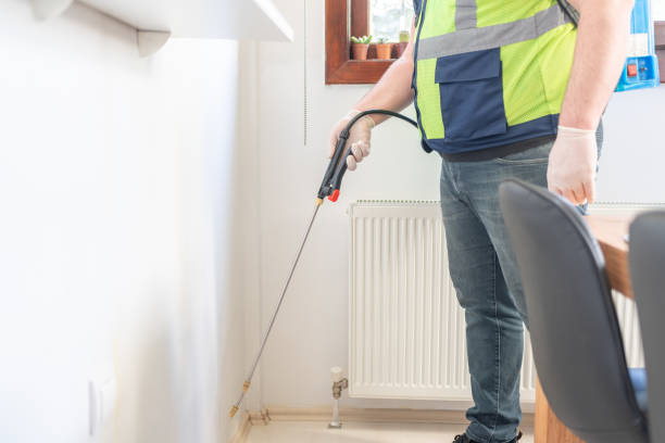 Best Termite Control Services  in Rockmart, GA